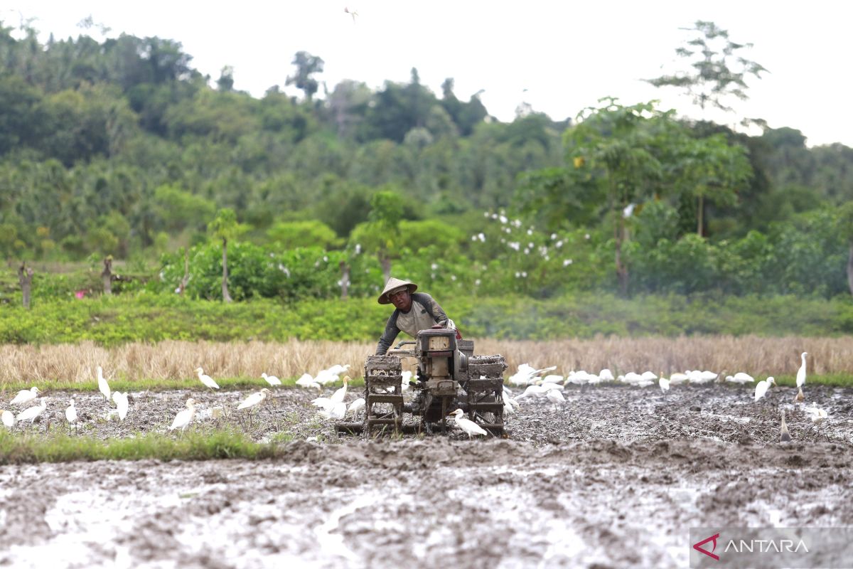 Pertumbuhan Ekonomi di Kecamatan Kwandang,Kabupaten Gorontalo Utara