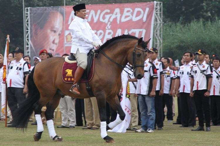 Presiden Prabowo Beri Bantuan 28 Kuda Terbaik untuk Tim Nasional Berkuda Indonesia