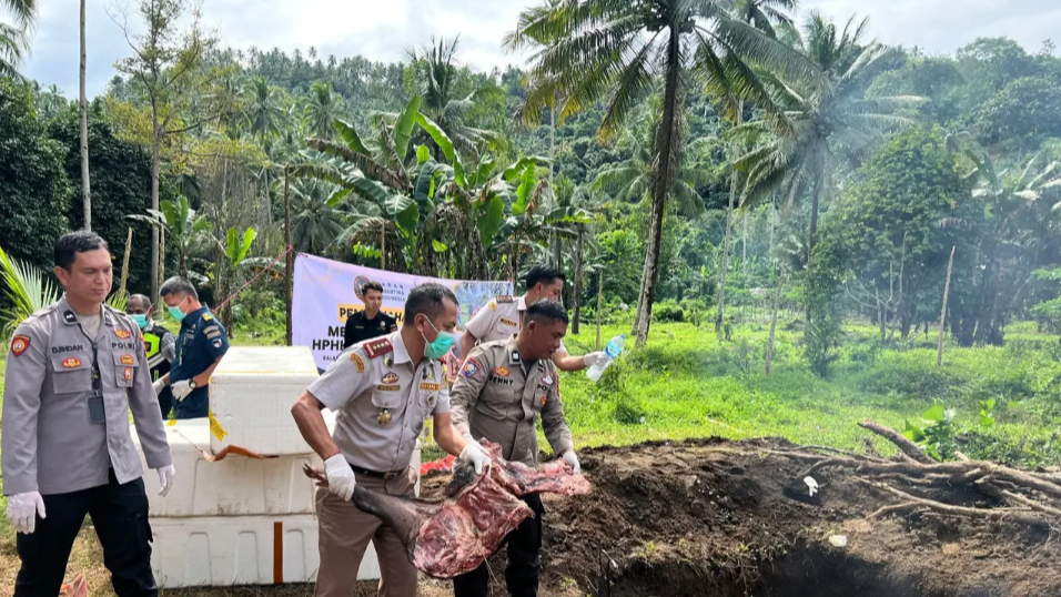 Bea Cukai Gagalkan Penyelundupan 1 Ton Daging Babi Hutan Asal China ke Sulut